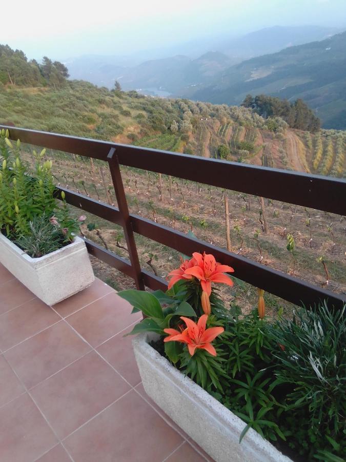 ホテル Quinta Pedreira Dos Anjos Provesende エクステリア 写真